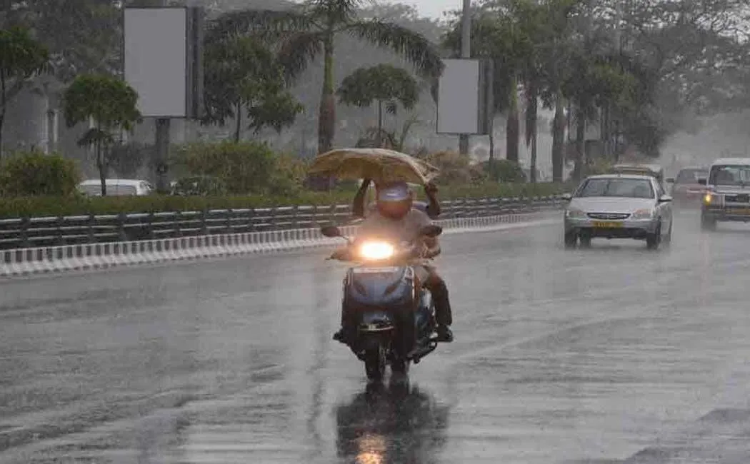 Rain in 25 districts of Tamil Nadu in next 3 hours