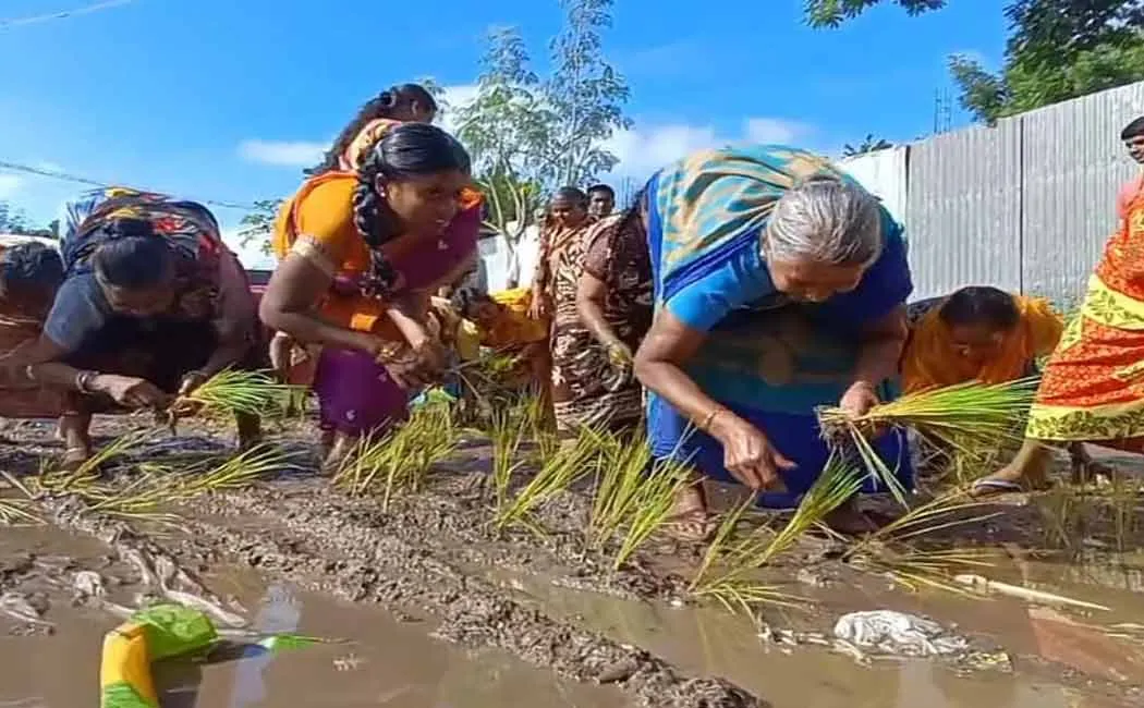 People struggle to repair the mud and muddy road
