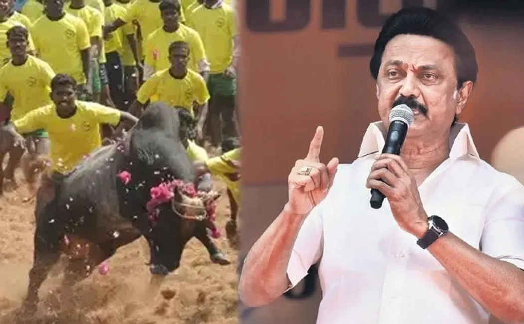 Jallikattu competition will be held first time in Chennai
