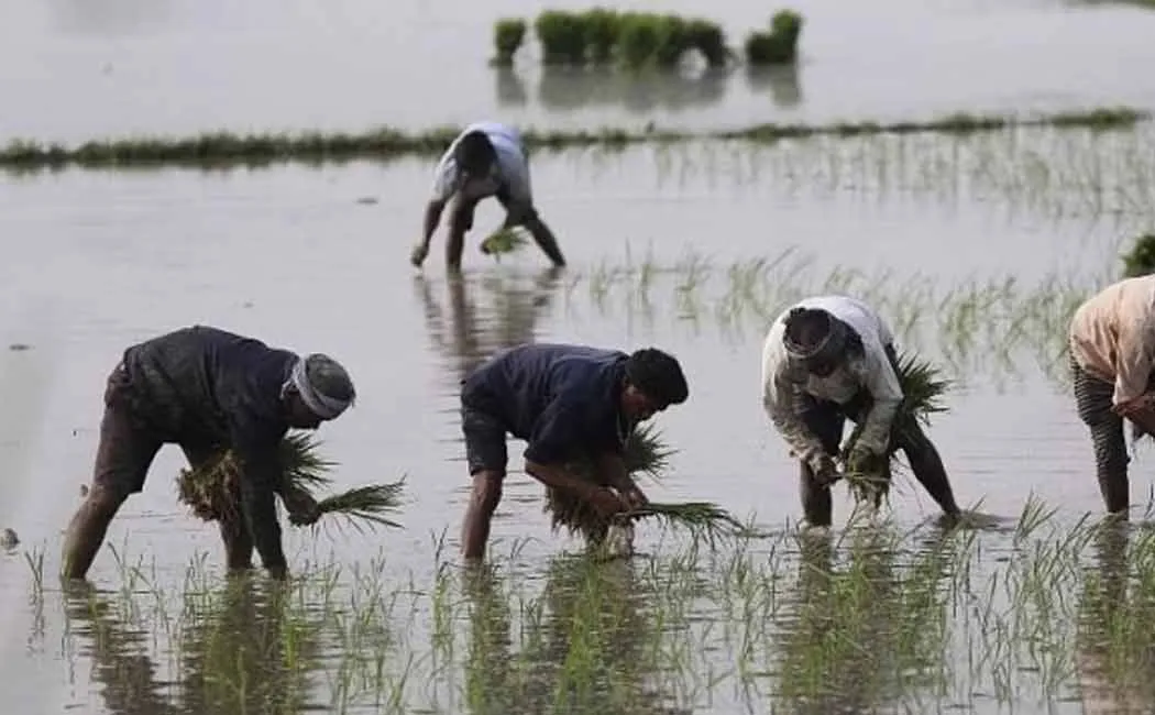 farmers said We will besiege the Erode Collector office as the water is not turned on