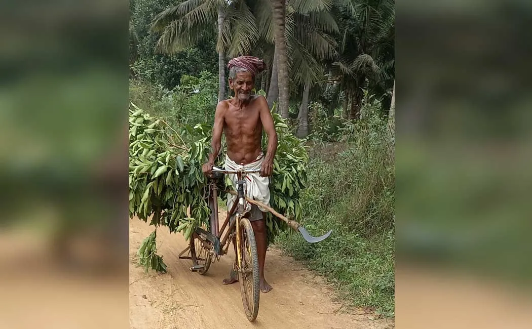 Cruelty  old man pudhukkottai