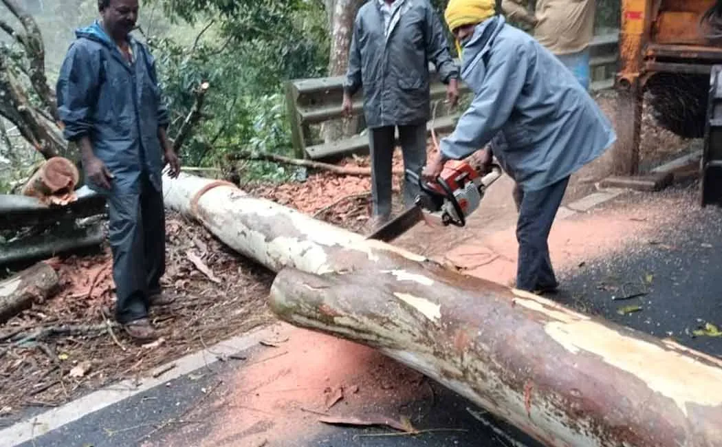 Kodaikanal work clearingtrees fell road due  continuous rain  intensive