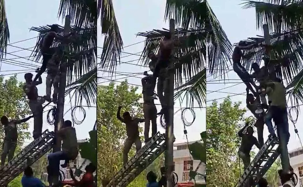 thief who climbed power line without getting caught police