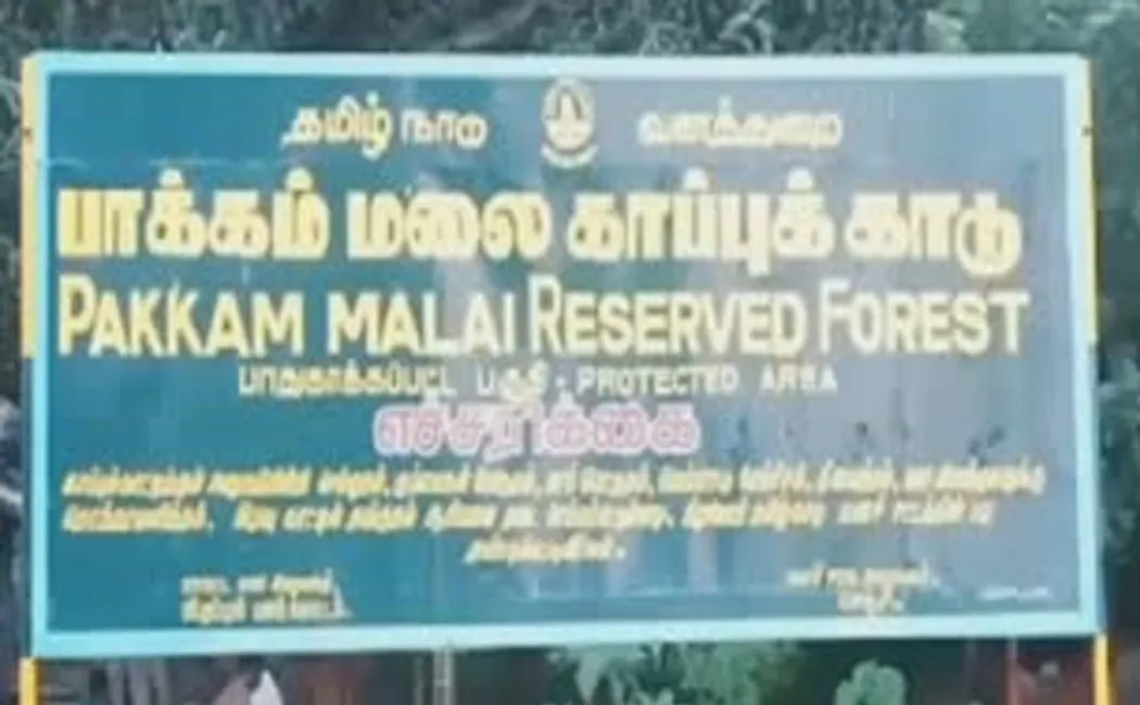 Penalty for illegal wildlife poaching