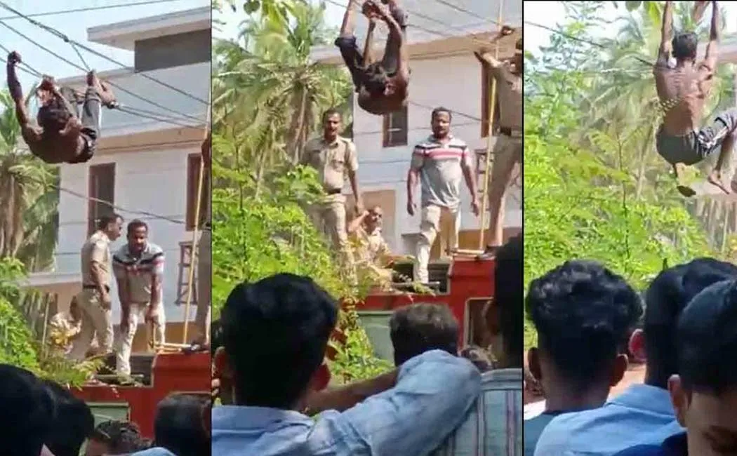 thief who climbed power line without getting caught police