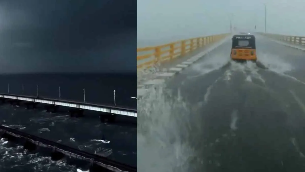 Is this a Pamban area?- Shocking footage released