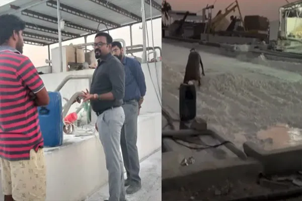 Chemicals trapped in sorghum factory; Food safety shock