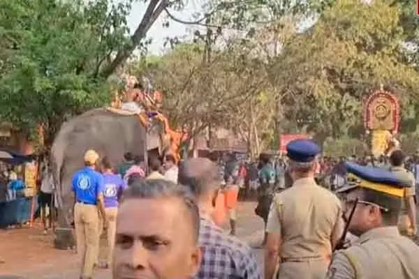 elephant Angry in temple festival; Devotees panic and run