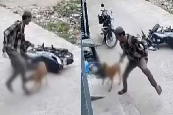 A dog chased and bit a school boy on a two-wheeler