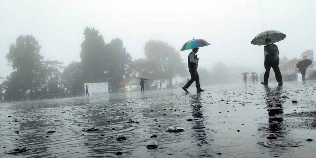 Chance of heavy rain in 11 districts