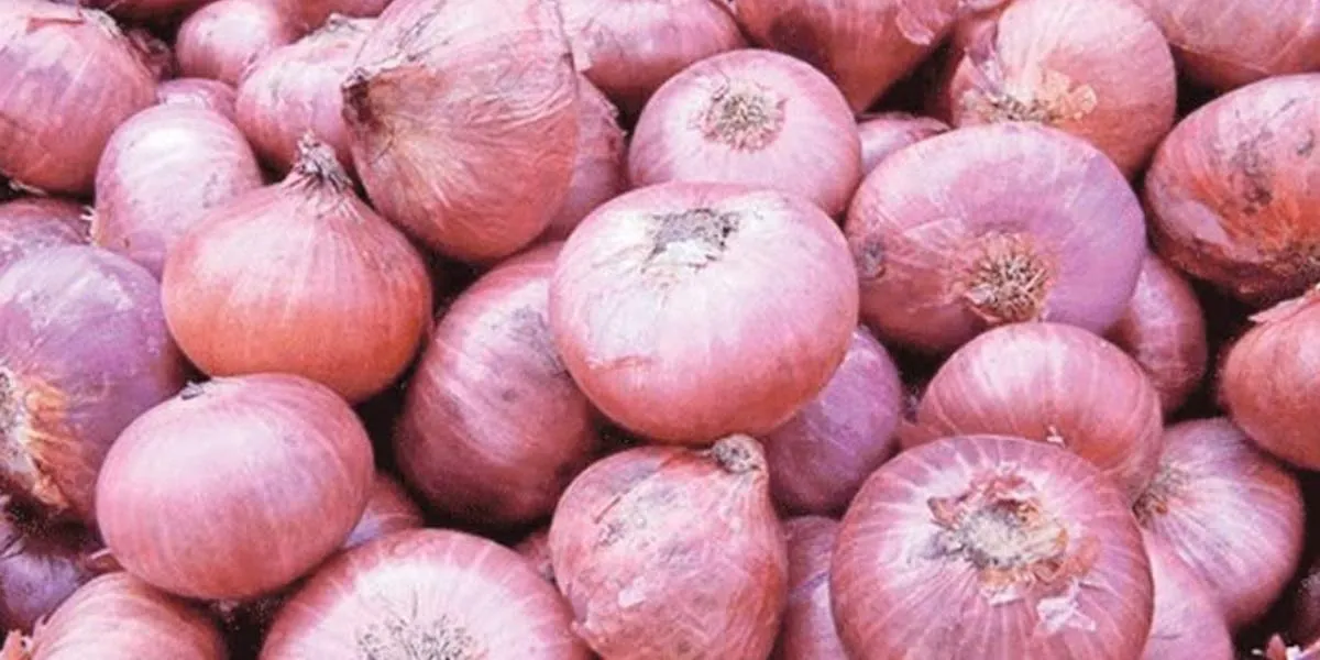  Relaxation of onion imports -Central  Government announcement