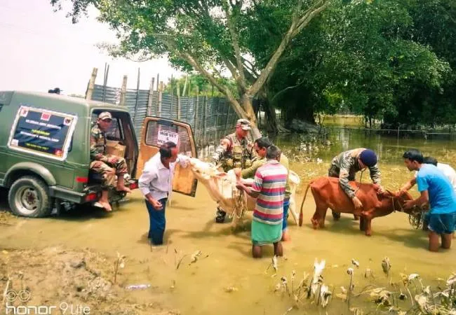 INDIA ASSAM AND BIHAR STATES FULLY AFFECTED IN HEAVY RAIN KAZIRANGA PARY ANIMALS DEATH INCREASE