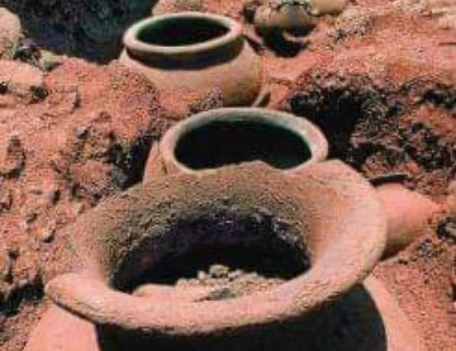  Archaeological excavation in 25 places: Archeology does not require Sanskrit language
