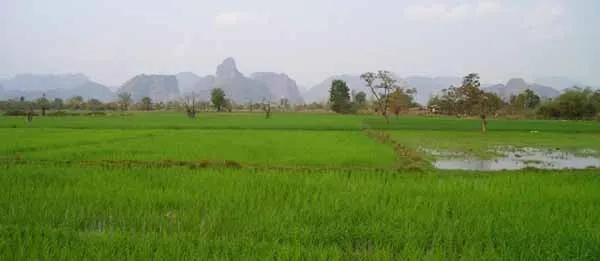 agriculture