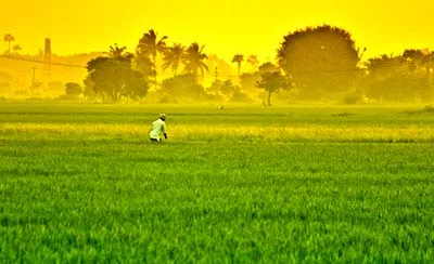 Agriculture