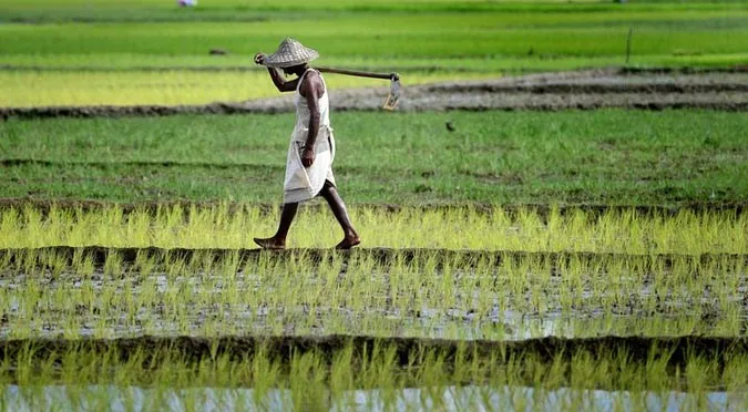 farmer