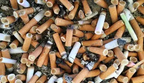 Cig
