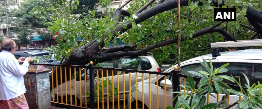 maharashtra and madhya pradesh states fully affected and heavy rainfalls two states fully block