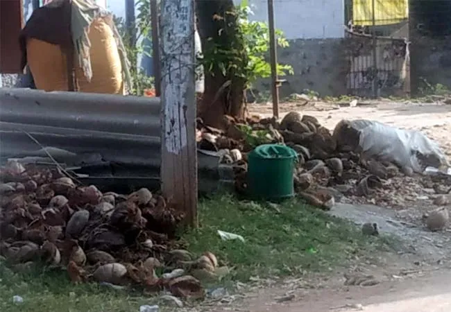 TENKASI DISTRICT DENGUE MOSQUITO PEOPLES HOSPITAL 