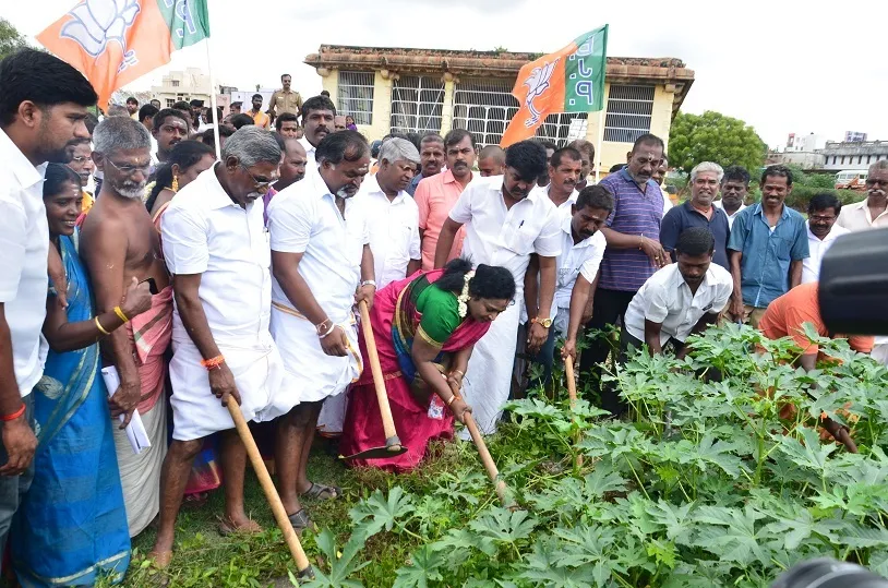 tamilisai