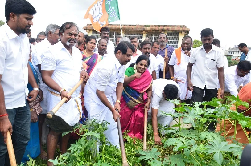 tamilisai