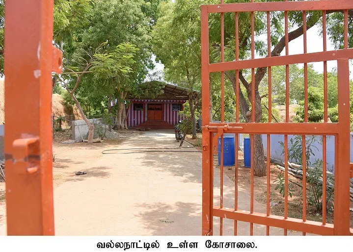 ko pujaa for modi win in tutucorin 