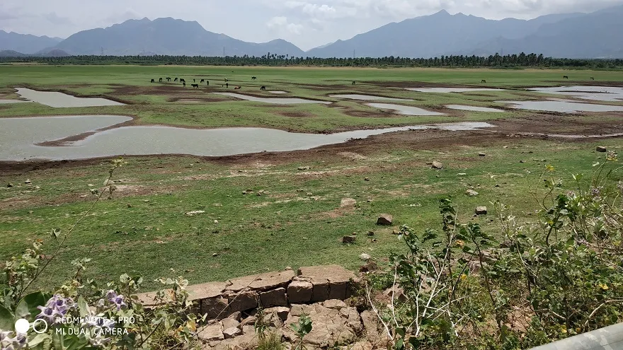 Southwest monsoon rain started!! 
