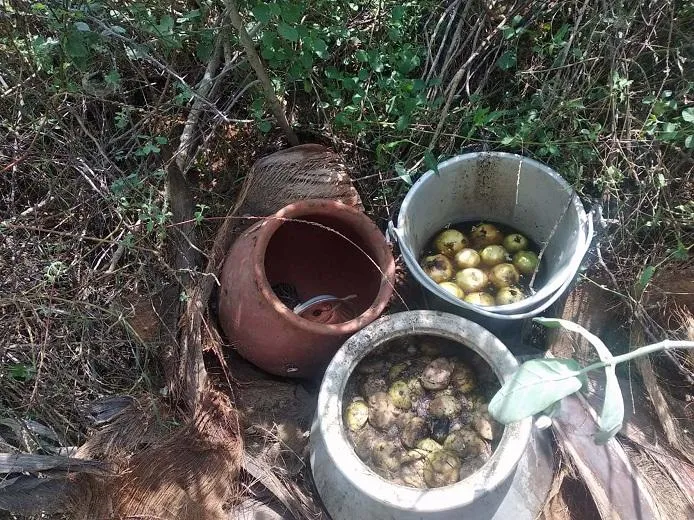 Patient arrested for illicit liquor