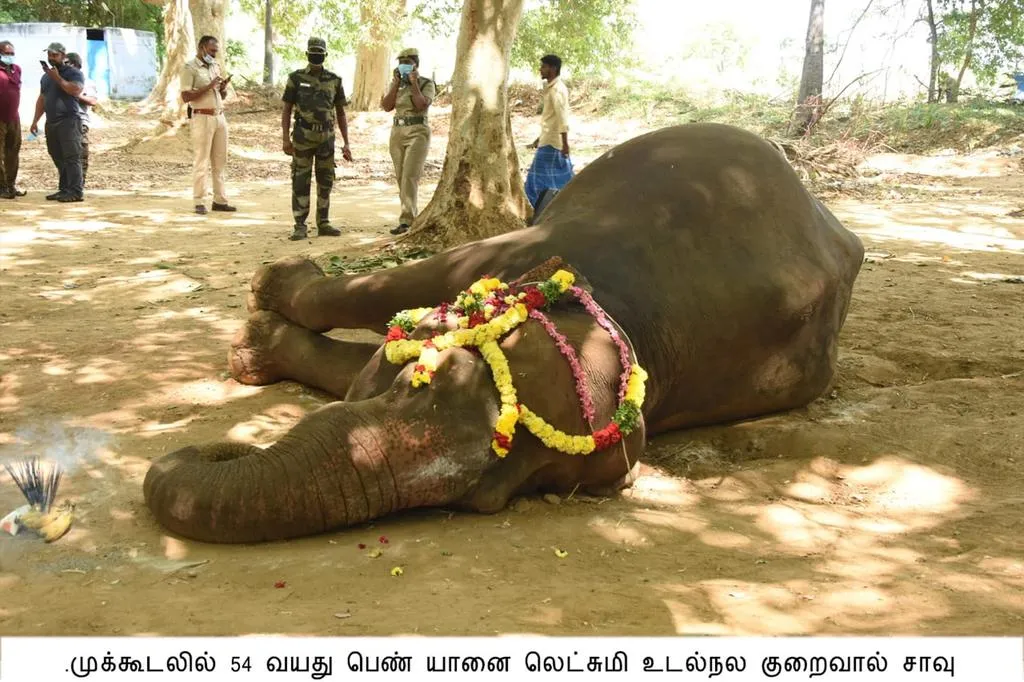 incident in thenkasi