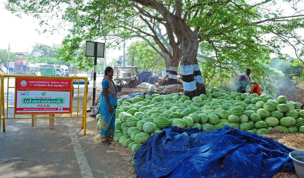  Rotten Fruits ... Poor Merchants Who Will Cry