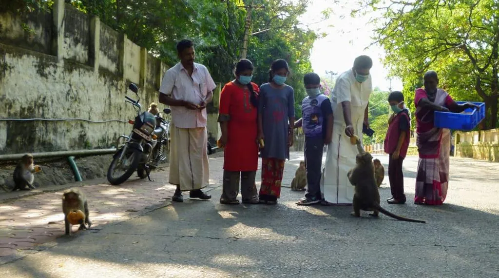 Food for the hungry animals...