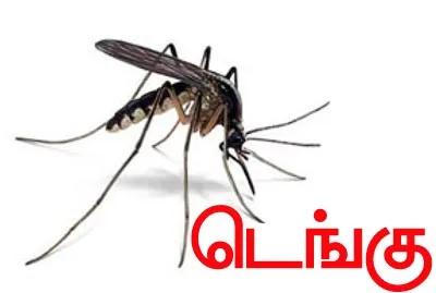 Dengue 