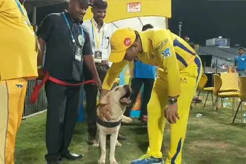 Dhoni