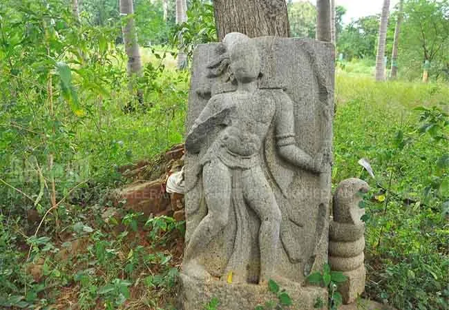16th Century Navakanda Sculpture Discovery!