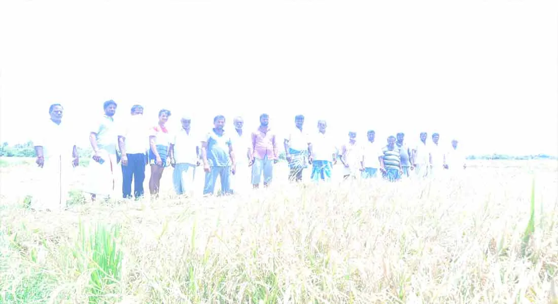  Intermediaries in Paddy Purchasing ...