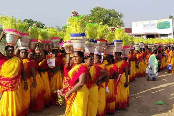 women who took sprouts raised by transgender woman to Amman Koil and worshipped them 
