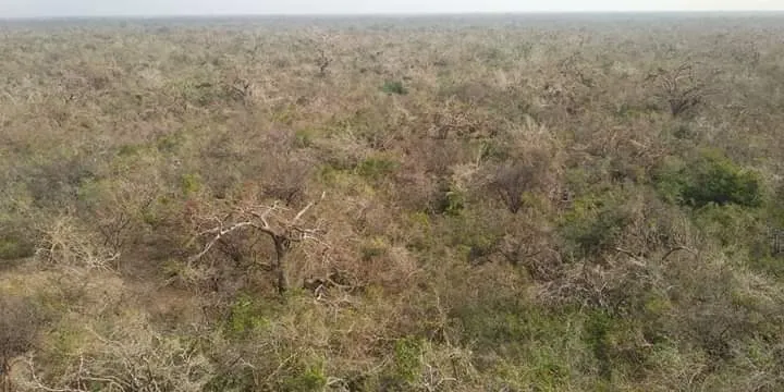  Kotiyakarai Bird Sanctuary