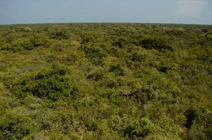  Kotiyakarai Bird Sanctuary