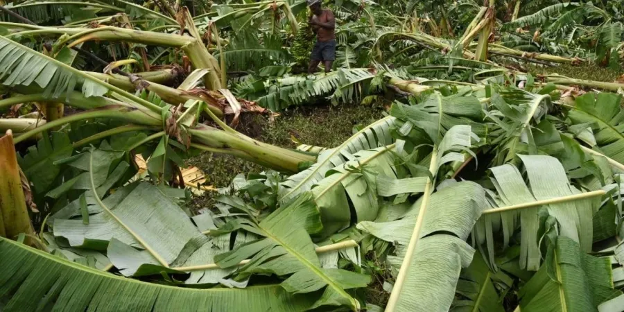 Hurricane damage 353.70 crore interim relief Central Government Announcement