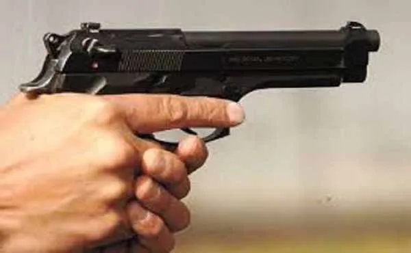 Gun
