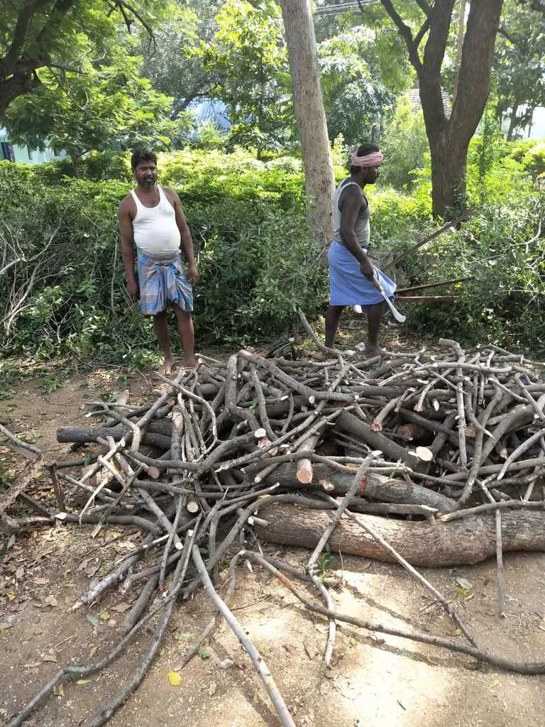  Officers lazy trees are dead - boiling green activists