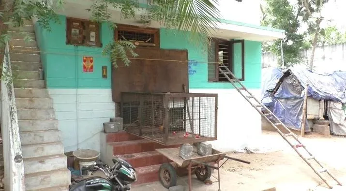 monkey Bite More than 40 people in chithamparam 