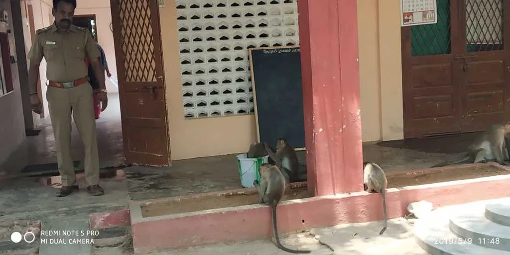  The monkeys without water... police abort the thirst... 