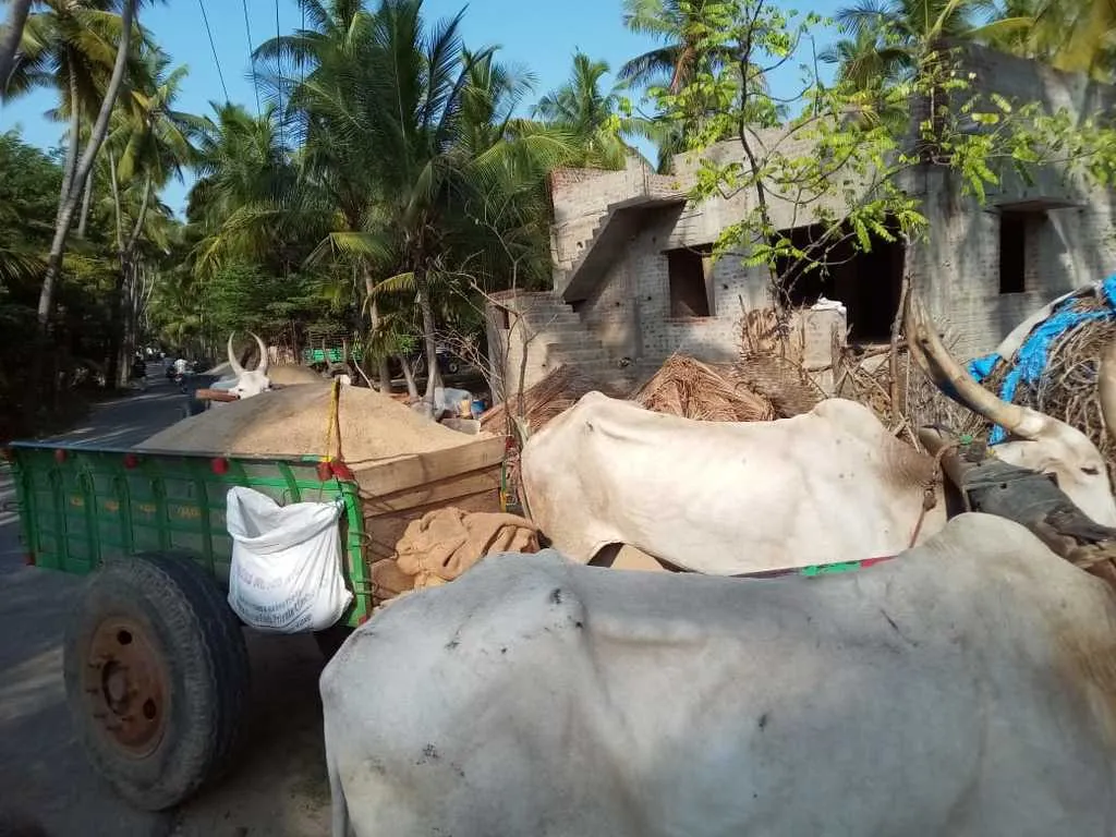 Often sand theft-investigate special police force  