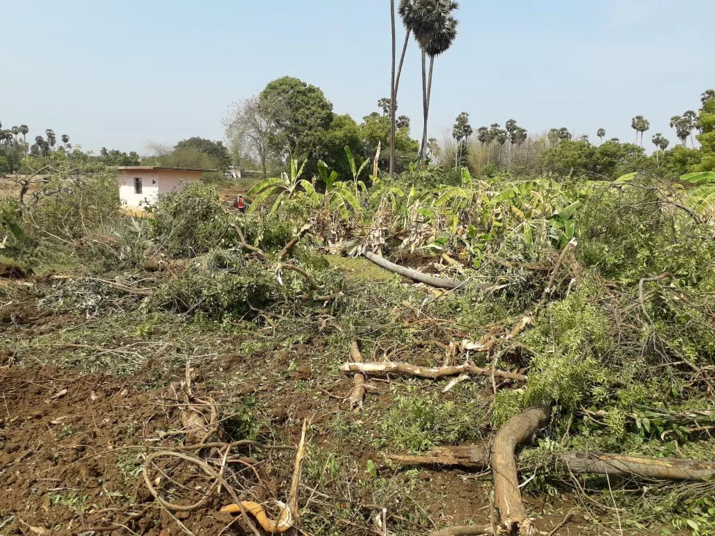  Farmers protest against the road for destroyed Banana plantation