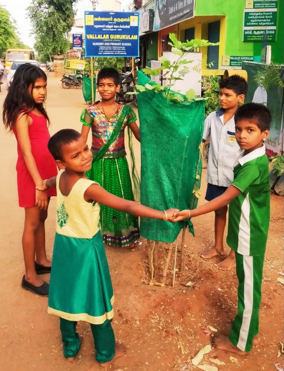 'Green Viruthachalam' to protect the environment
