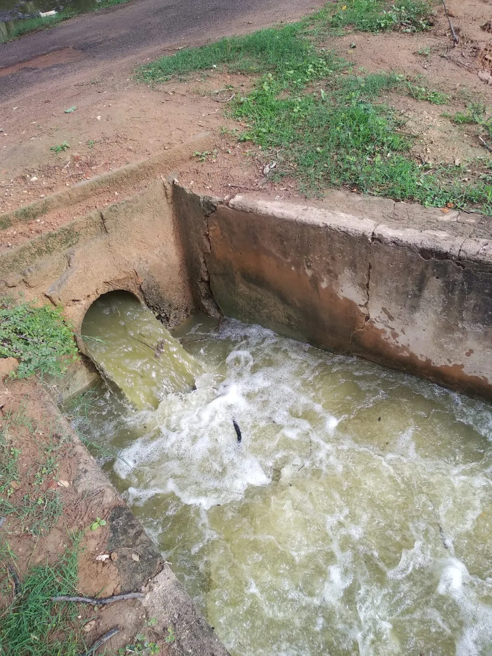  AR Rahman Sisters who funded the cost of a day to develop water bodies