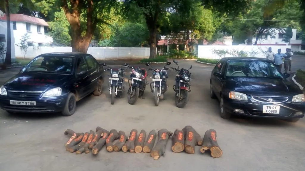 arrested for trying to abduct sandalwood trees at forest zoo