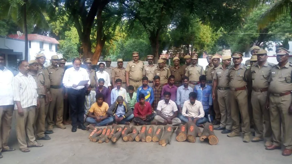 arrested for trying to abduct sandalwood trees at forest zoo