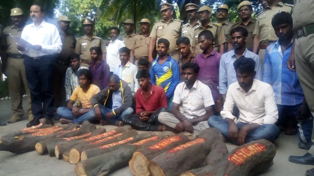 arrested for trying to abduct sandalwood trees at forest zoo